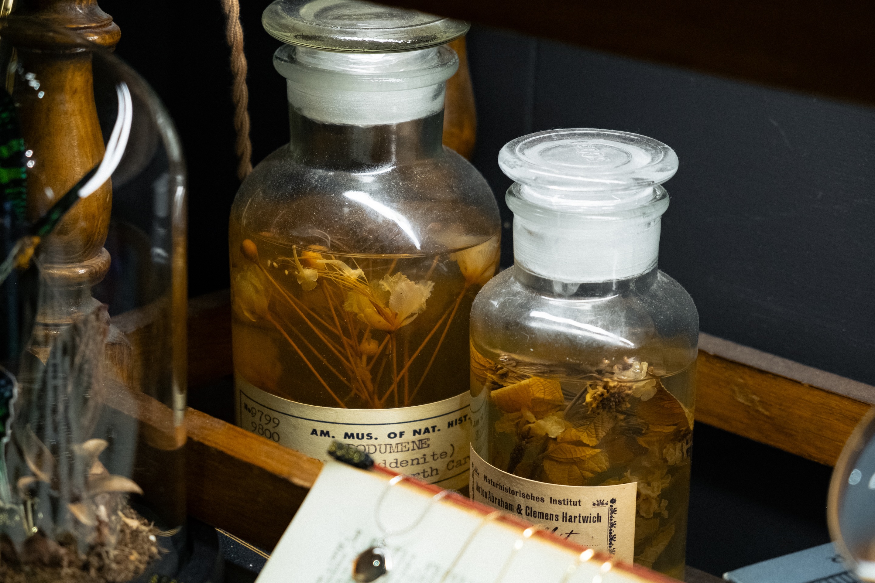 Wet specimen reference